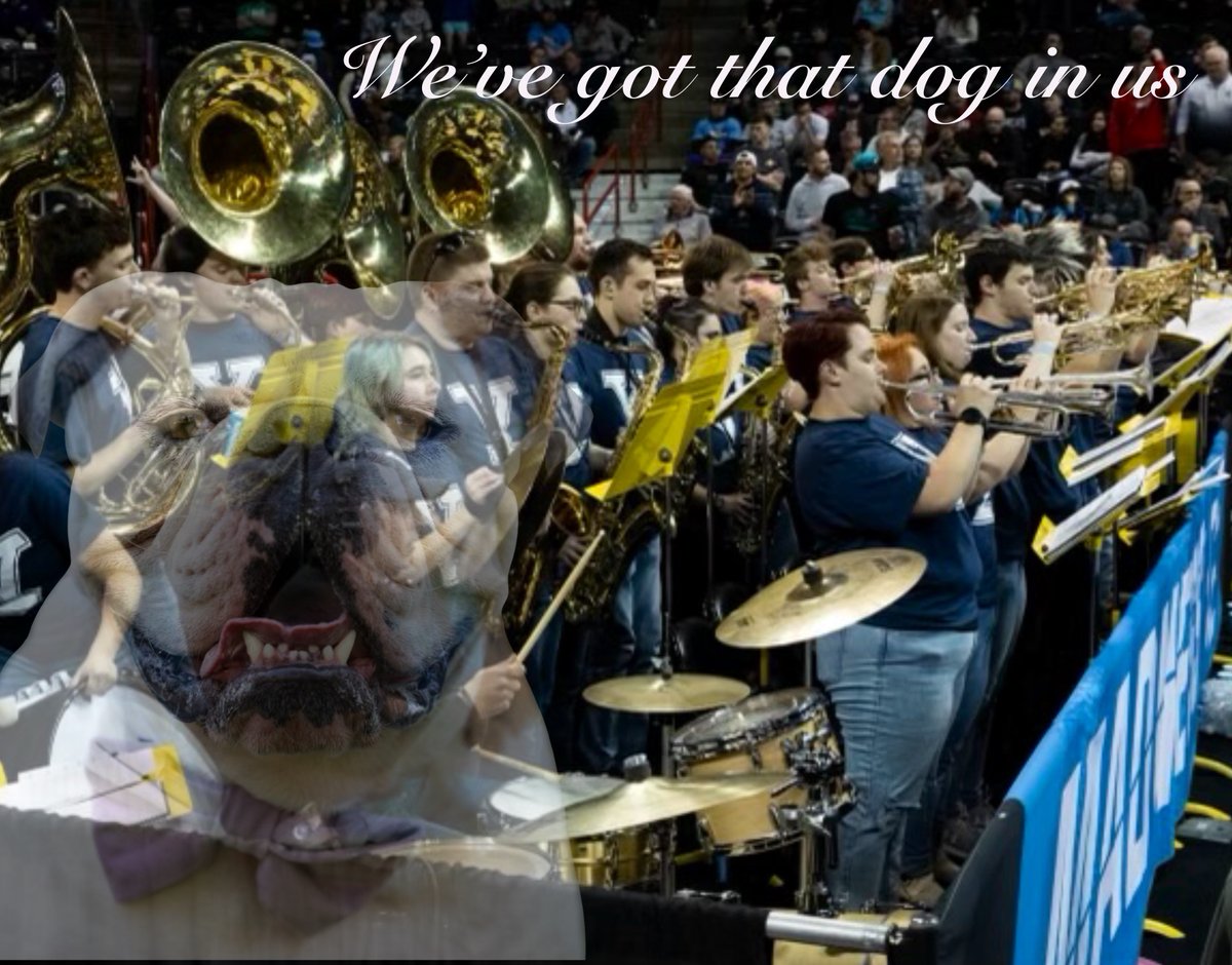 The Argonaut tweet media