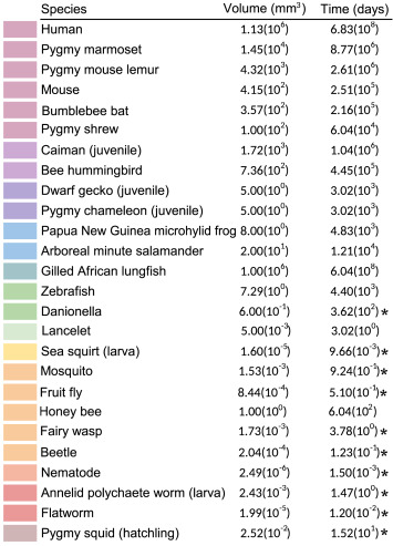 Comparative connectomics is proceeding at lightning fast pace. But even with the very latest technology - if I have understood the below table correctly - it would still take 1.8 MILLION YEARS to get a full connectome for the human brain🤯 sciencedirect.com/science/articl…