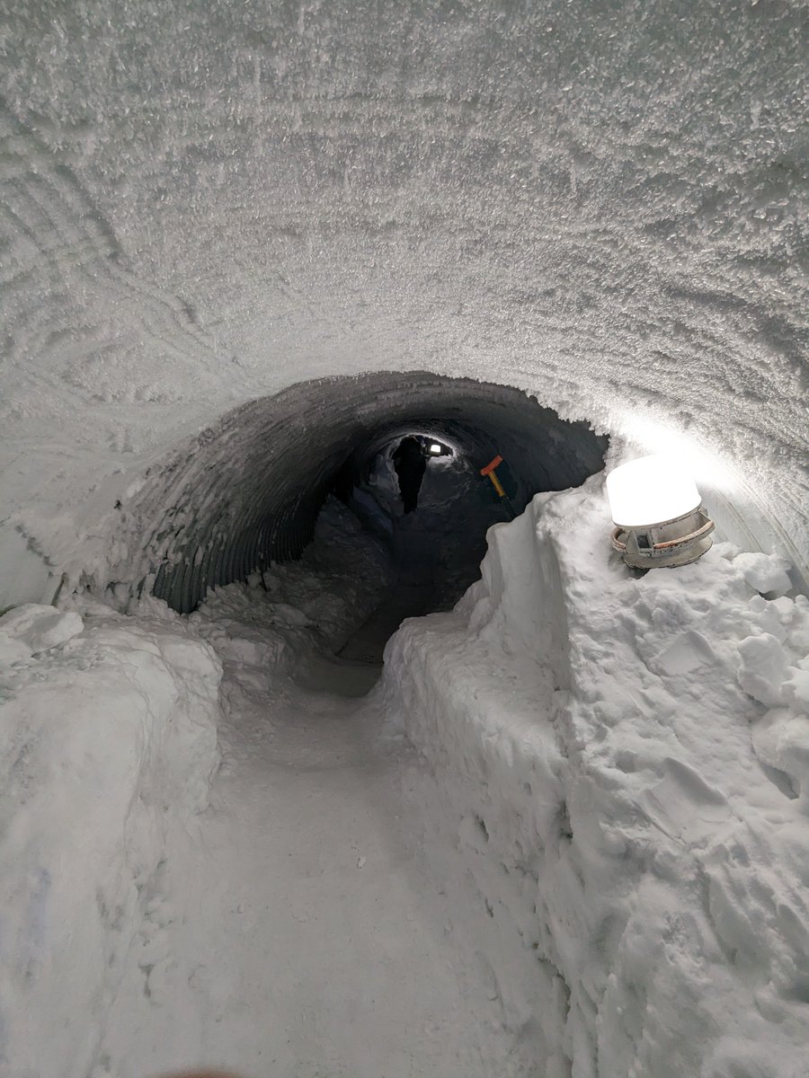 Enough larking around with the flag. Into the glacier we go! #wghsiceland