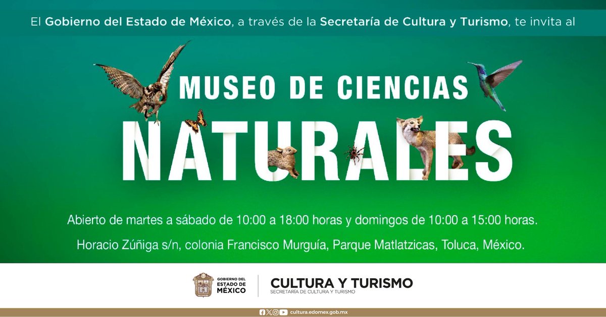 💚 En el Museo de #CienciasNaturalesEdoméx puedes conocer universos de rocas 🪨 y minerales, fósiles, esqueletos 🦴, bichos, aves 🦢 y mamíferos, además de maravillarte con el 🌳 árbol petrificado de más de 250 millones de años.
¡Te esperamos! 🕷️