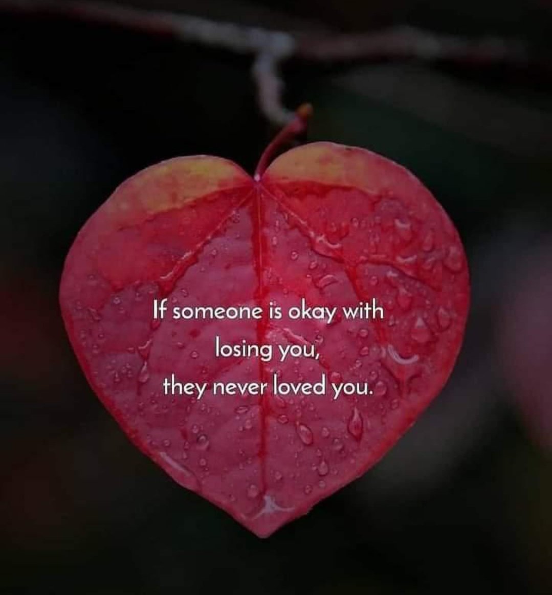 Good Morning 🌞
Have a blessed day
.