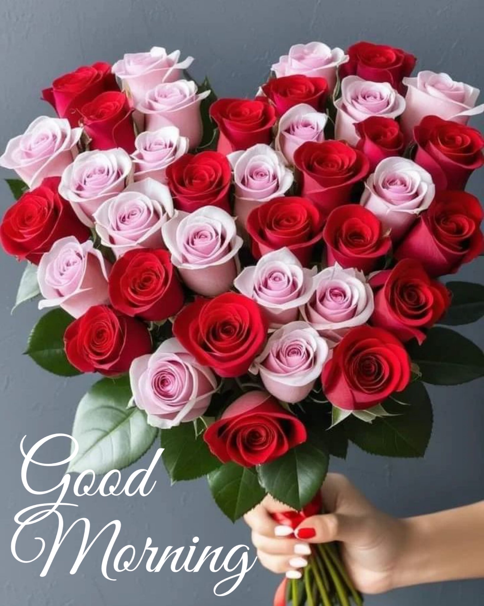Red Roses With Good Morning Quotes True Friends Are Like Diamonds