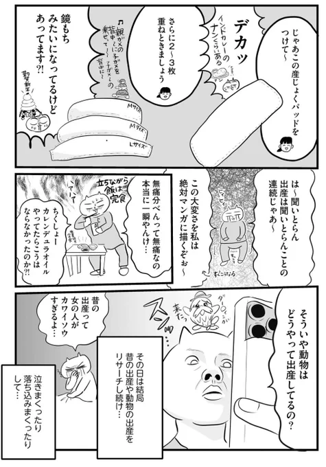 産んだら親になれると思ってた(3/5)

#正直出産ってどうだったか教えて
#漫画が読めるハッシュタグ

無痛分娩の、その後 