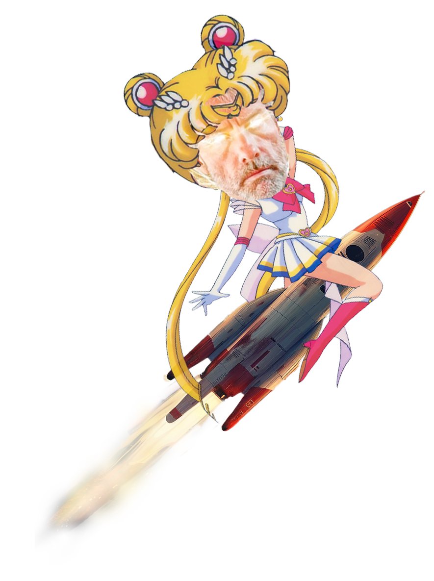 Saylor Moon tweet media