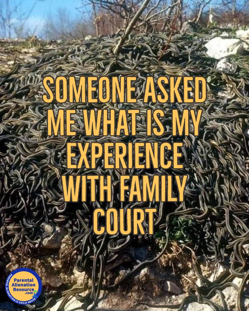 Parental Alienation Resource (@daddydoesntlove) on Twitter photo 