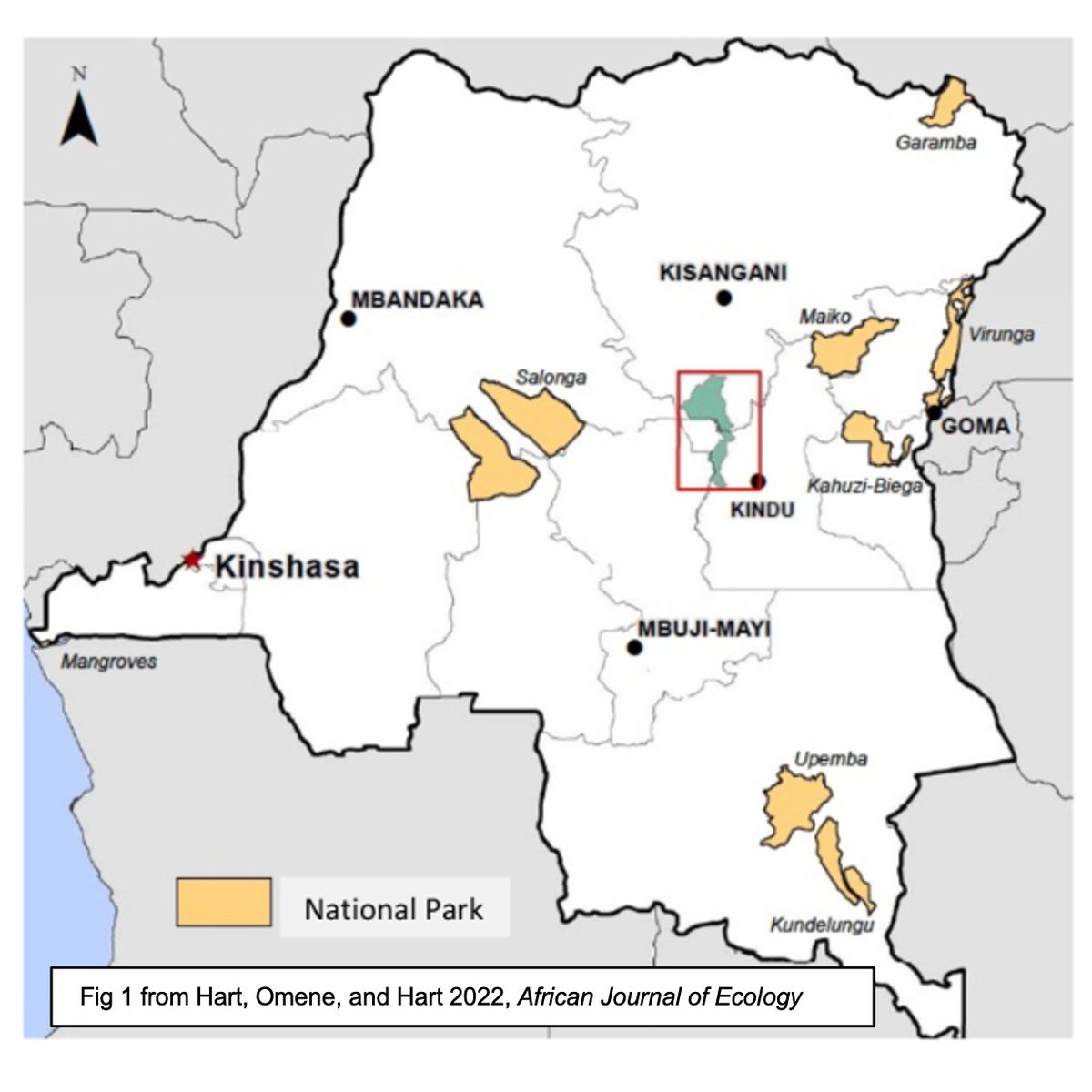 Tonight's battle takes place in the buffer zone just outside of Lomami National Park, one of the Democratic Republic of Congo's newest national parks. #2024MMM news.mongabay.com/2016/07/drc-de…
