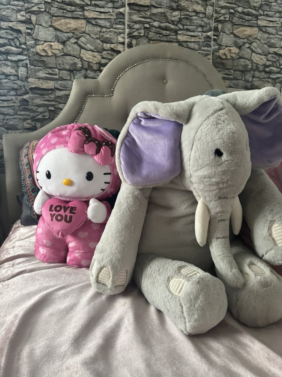 The way Valerie and I need to sleep with the stuffed animals our bfs got us is so funny to me 😭😭