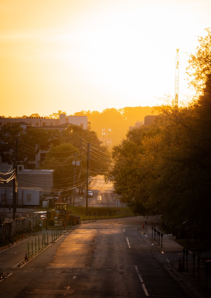 West Madison Street this evening. Tallahassee, Florida.