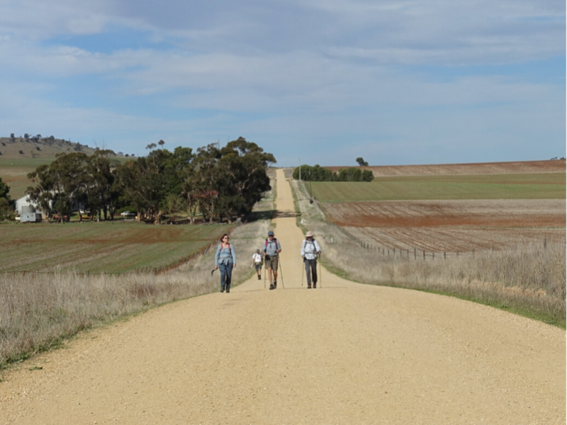 🚶‍♂️🚶🚶‍♀️ Pilgrimages such as the Australian Ignatian Trail in South Australia are transformational experiences in every sense. Find out more: 👉 jesuit.org.au/heeding-the-in… Photo courtesy of Fr Iain Radvan SJ #jesuits #societyofjesus #jesus #jesuit