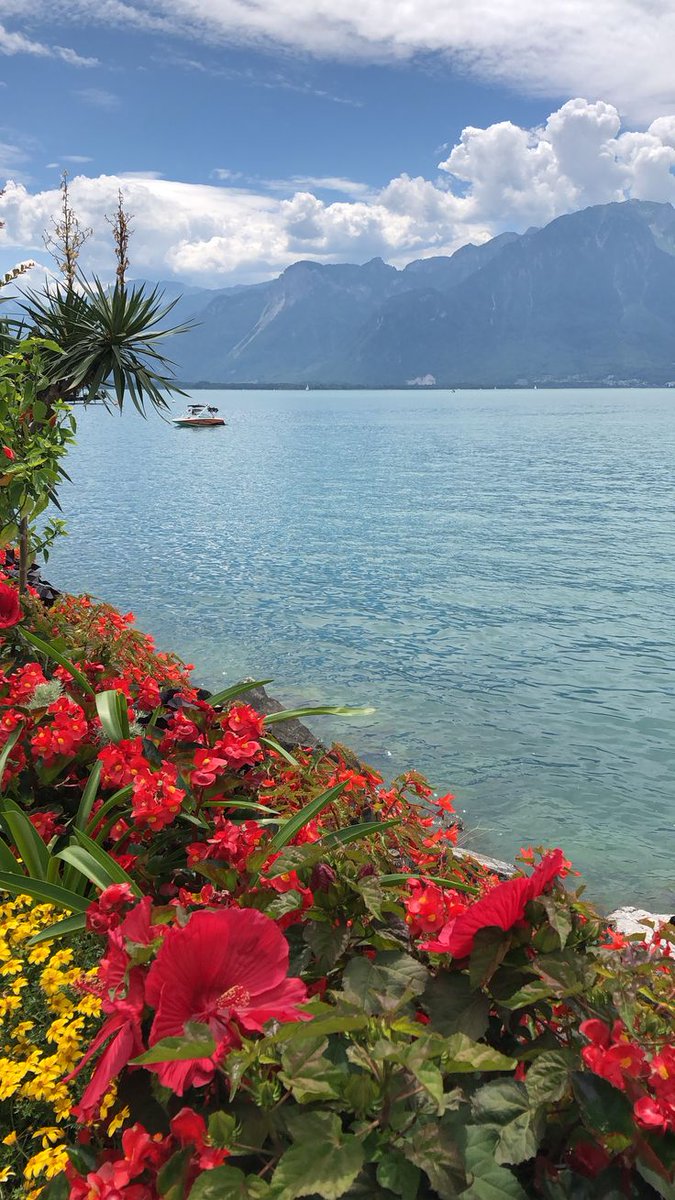 jeejeeja's tweet image. With each crashing wave, the sea whispers secrets of ancient lands and untold stories lost to time. Its rhythmic cadence echoes the heartbeat of the earth, drawing us into its embrace and reminding us of the boundless mysteries that lie beneath its surface.