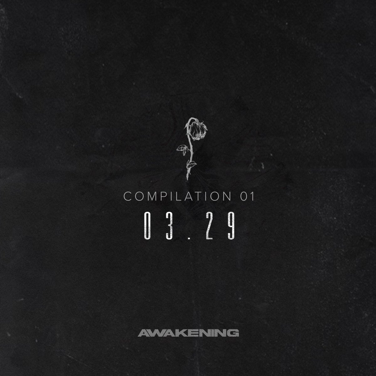 New music this friday

<a href="/awakeninglabel/">Awakening Records</a>