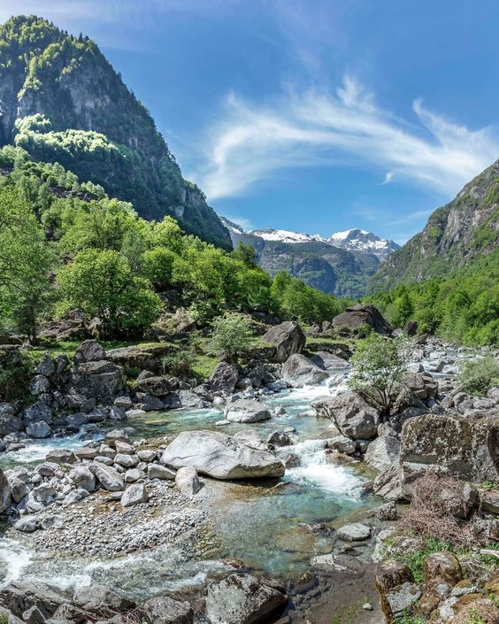 Teste0010 tweet media