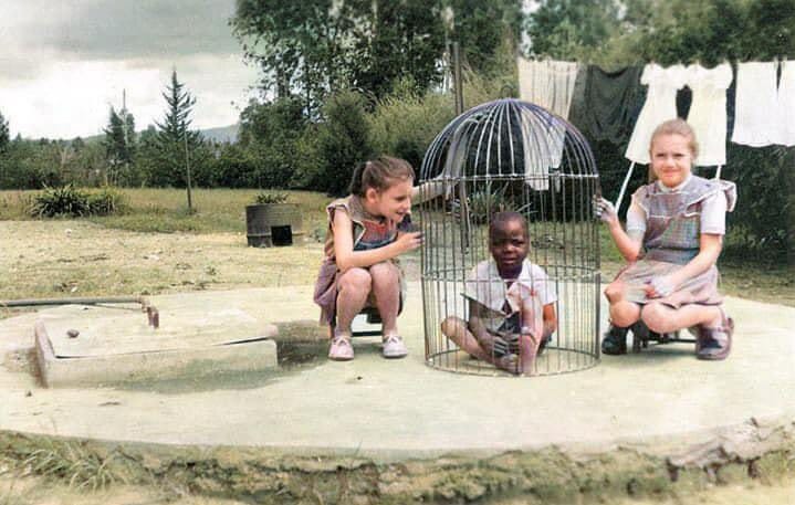 Fotografía coloreada de 1955 durante la ocupación belga del Congo. Un padre belga trajo una niña africana a sus hijas y la metió en una jaula para pájaros como entretenimiento. La foto es parte de un álbum, titulado: “Colección Monsieur Van de Meerssche: Congo Belge,…