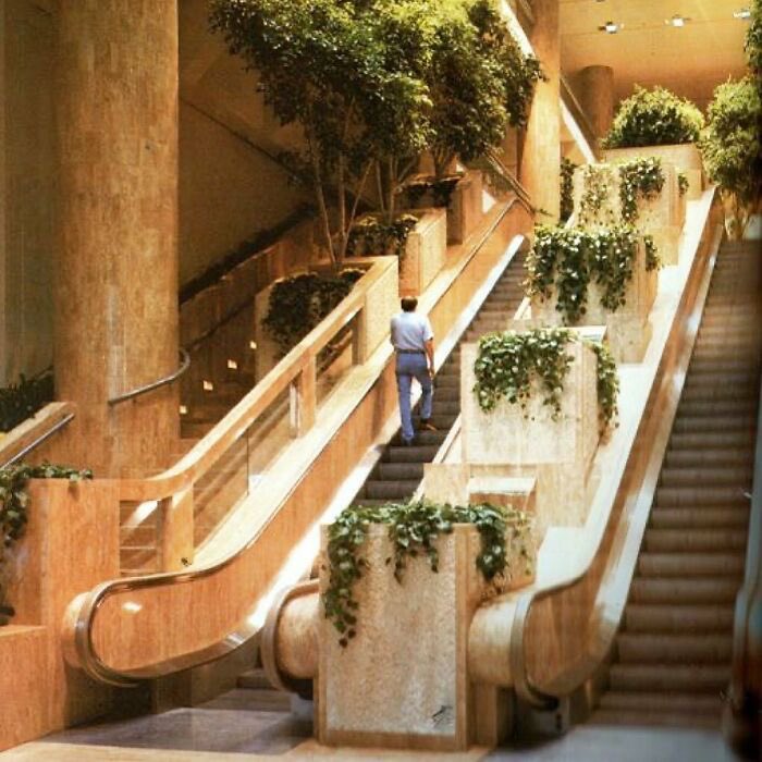 Kinda bummed thinking about how dope shopping malls were in the 80’s