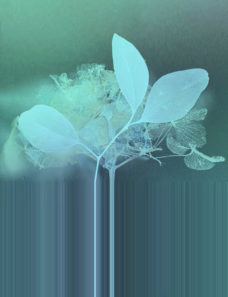 _growth revolution | tweet media