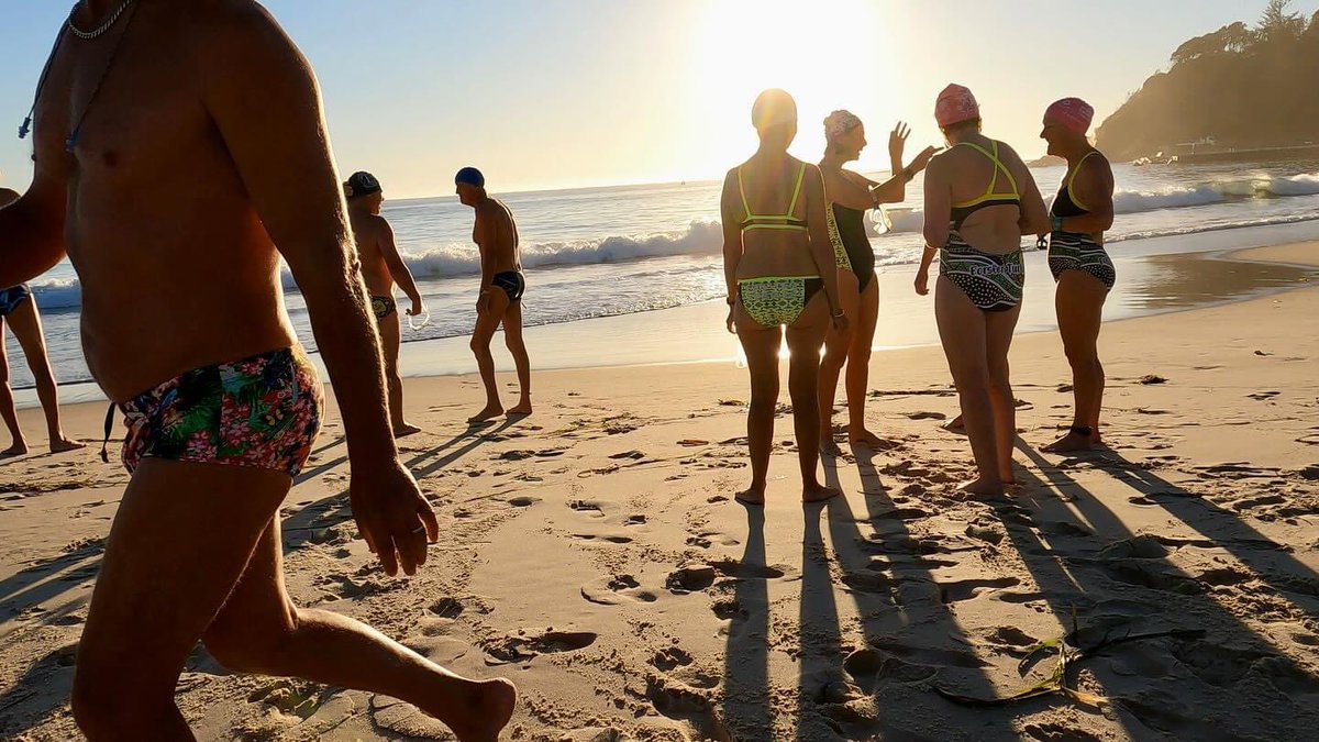 OceanSwimSafari's tweet photo. This is why we really don’t like this joint… Especially in autumn… #ForsterTurtles #Forster #EarlyMorningSwim #Pacific #Beach #Autumn #Australia https://t.co/A7O6PA0uPK