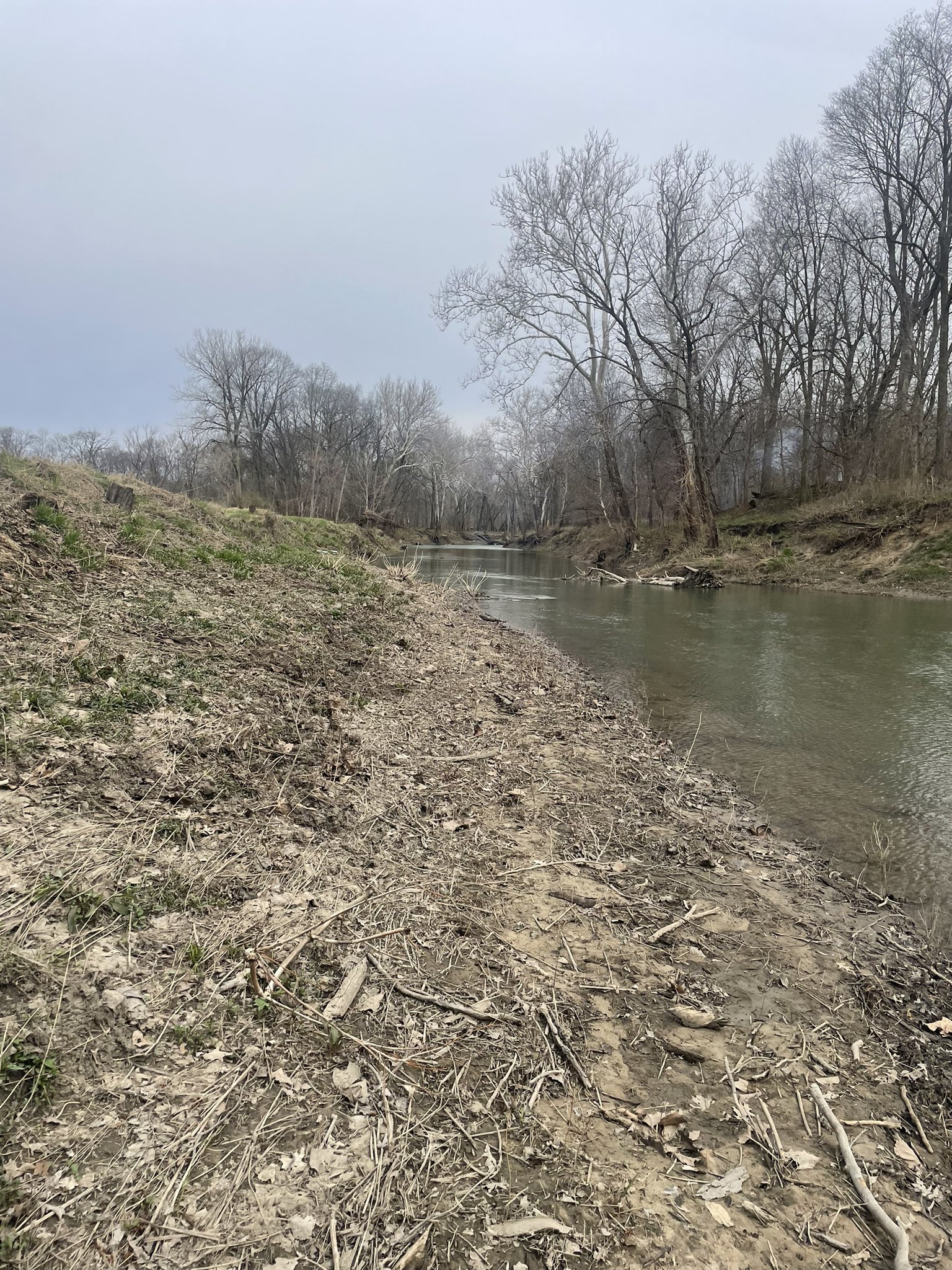 Bob Storm on X: This field won't win any yield contests but it does have a  perfect spot for setting bank poles this summer. #catfishing   / X