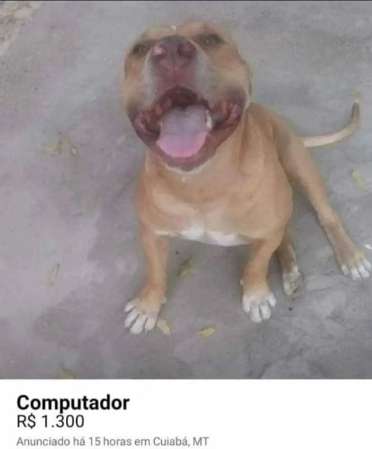 será que roda watch dogs?