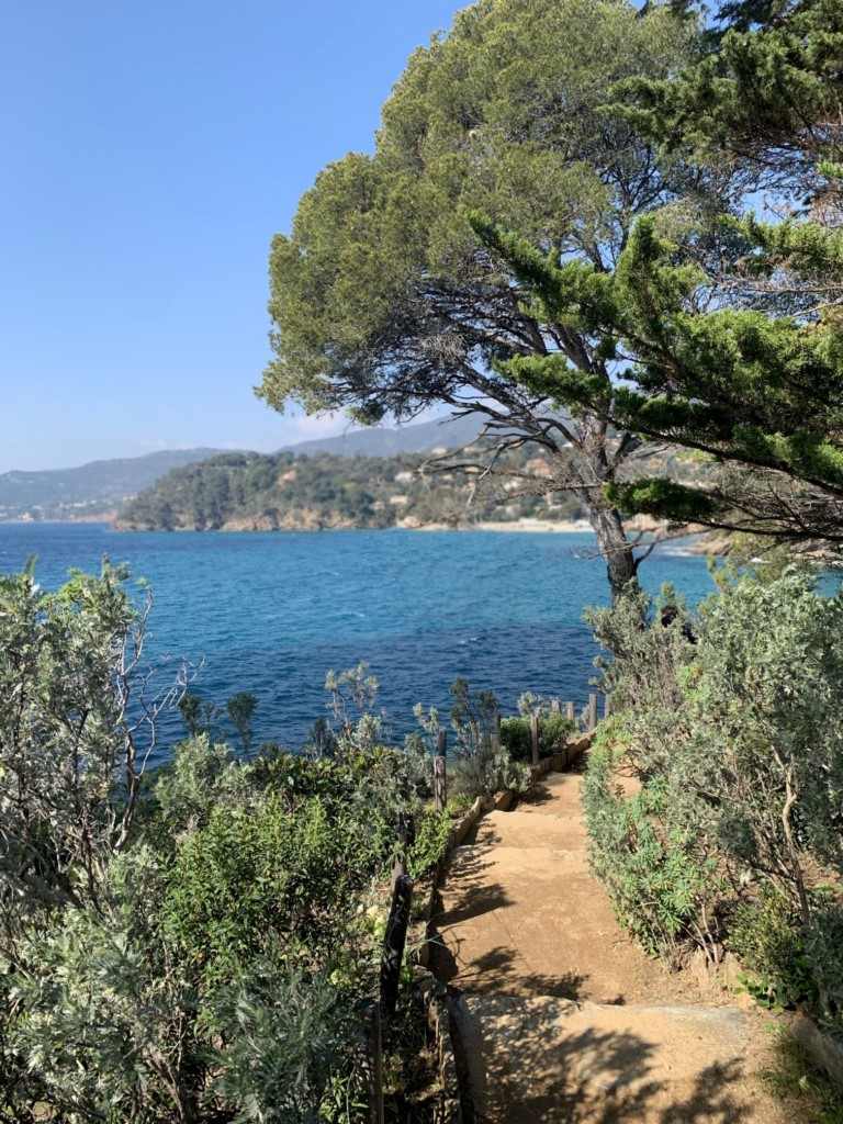 #Var Le Rayol Canadel 
Qui prend racine en bord de mer ?
tv83.info/le-rayol-canad…
<a href="/domainedurayol/">Domaine du Rayol</a> <a href="/littoral_cdl/">Conservatoire du littoral</a>