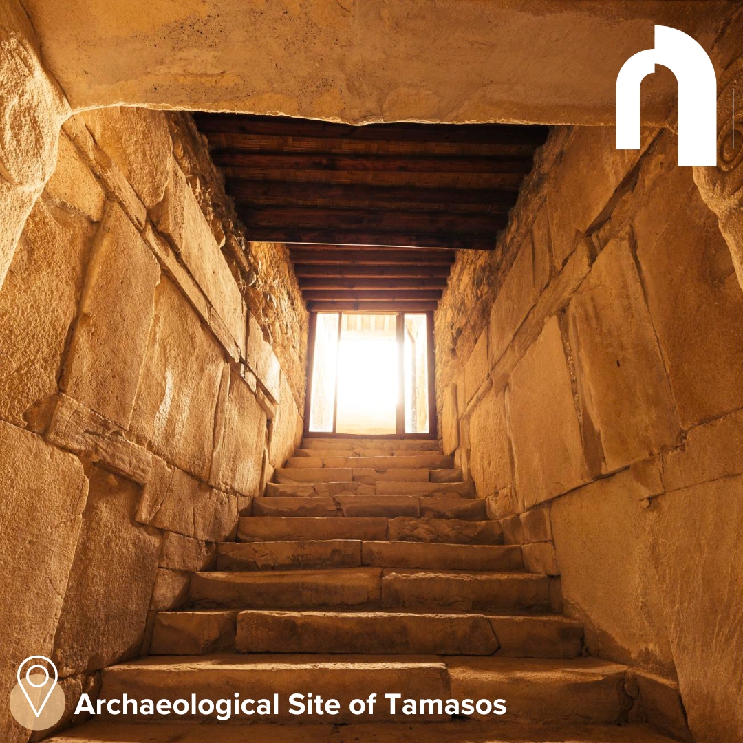 Welcome to Tamasos Archaeological Site! Step into the ancient world of Cyprus' city-kingdoms. Marvel at the modest ruins, imagine the hustle of daily life, and explore history's whispers. Tamasos: small in size, mighty in stories. 🏛️✨ #VisitNicosia #TinyTreasures