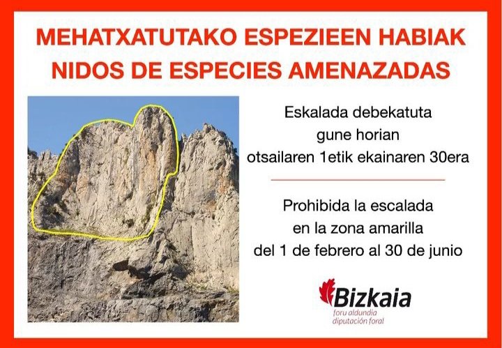 Biz_Basozainak's tweet photo. #Urkiola Parke Naturalean #Atxarte-ko #eskalada guneko #Labargorri horman, #Belatz handia ugaltzen dabilela eta eskalada mugatzen da otsailaren 1etik ekainaren 30era..
#kontsebazioa #mehatxatutako #espezieak #Falco #emf #bmf https://t.co/8LoH7RC6uL