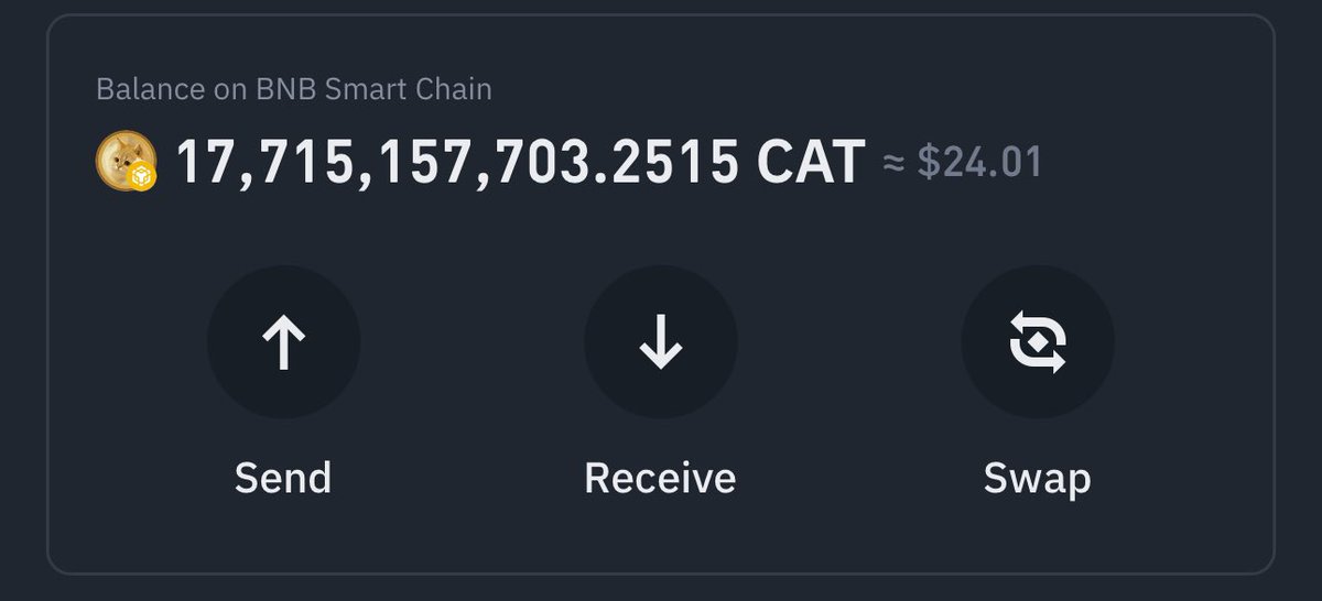 reyomran's tweet photo. Good night #Catcoin https://t.co/IU75G6BrBe