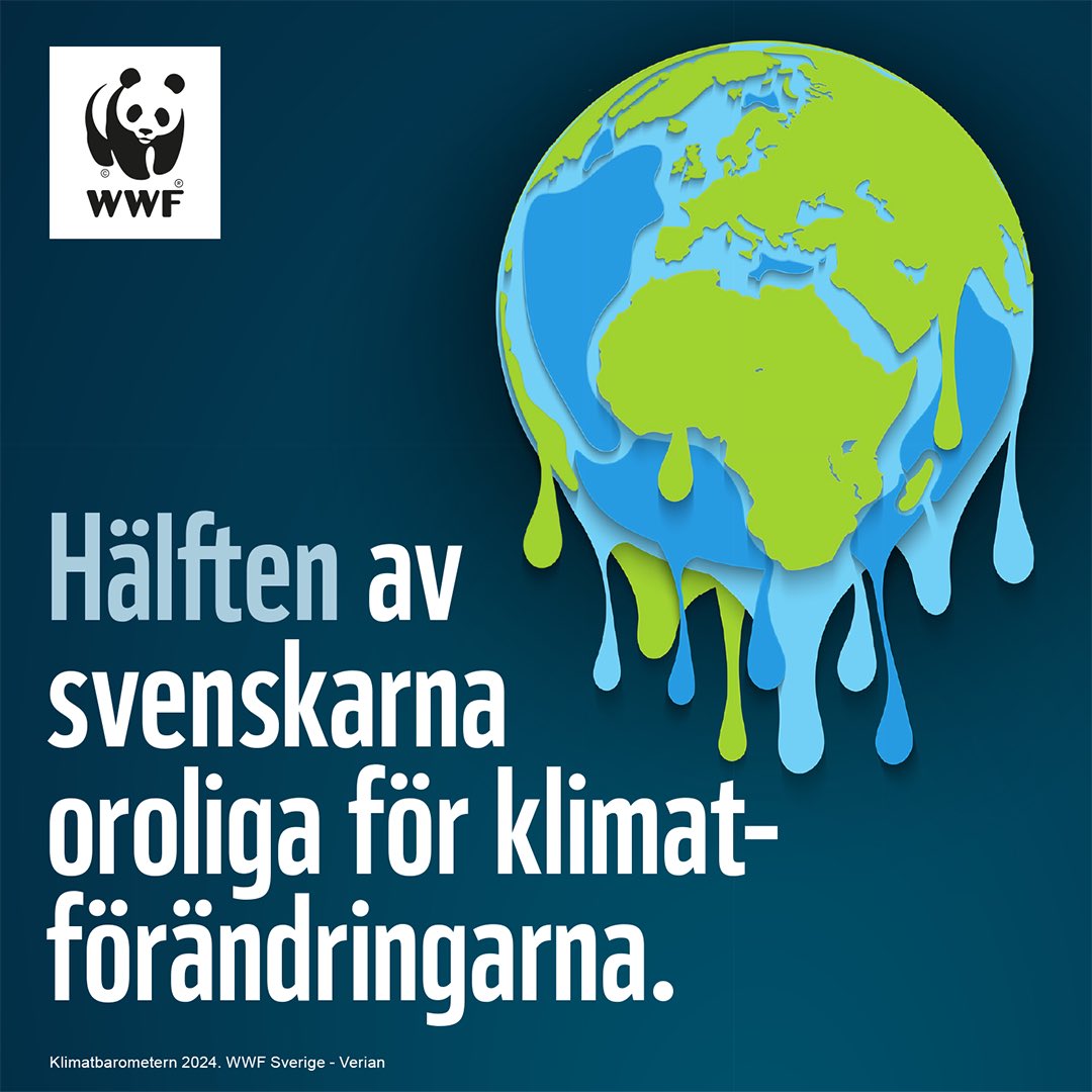 Oron stiger för klimatförändringar. Bara krig oroar svenska folket mer. Hela 65% anser att man påverkas redan idag av klimatförändringarna. 🌡️ Det visar WWFs #Klimatbarometer som släppts idag. wwf.se/pressmeddeland… #klimat