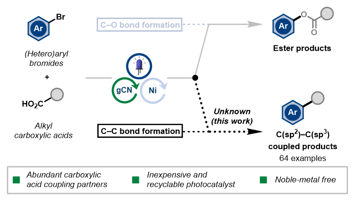 Our latest work shows the remarkable capability of graphitic carbon nitride in facilitating challenging metallaphotocatalytic decarboxylative C(sp2)–C(sp3) couplings. Now on @ChemRXiv: chemrxiv.org/engage/chemrxi… Great collaborative effort with Ben, Simon and Markus from @Novartis