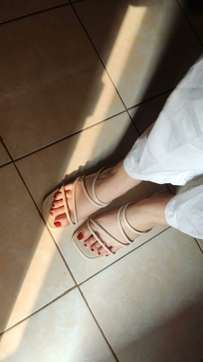 becoming 부자 tweet media