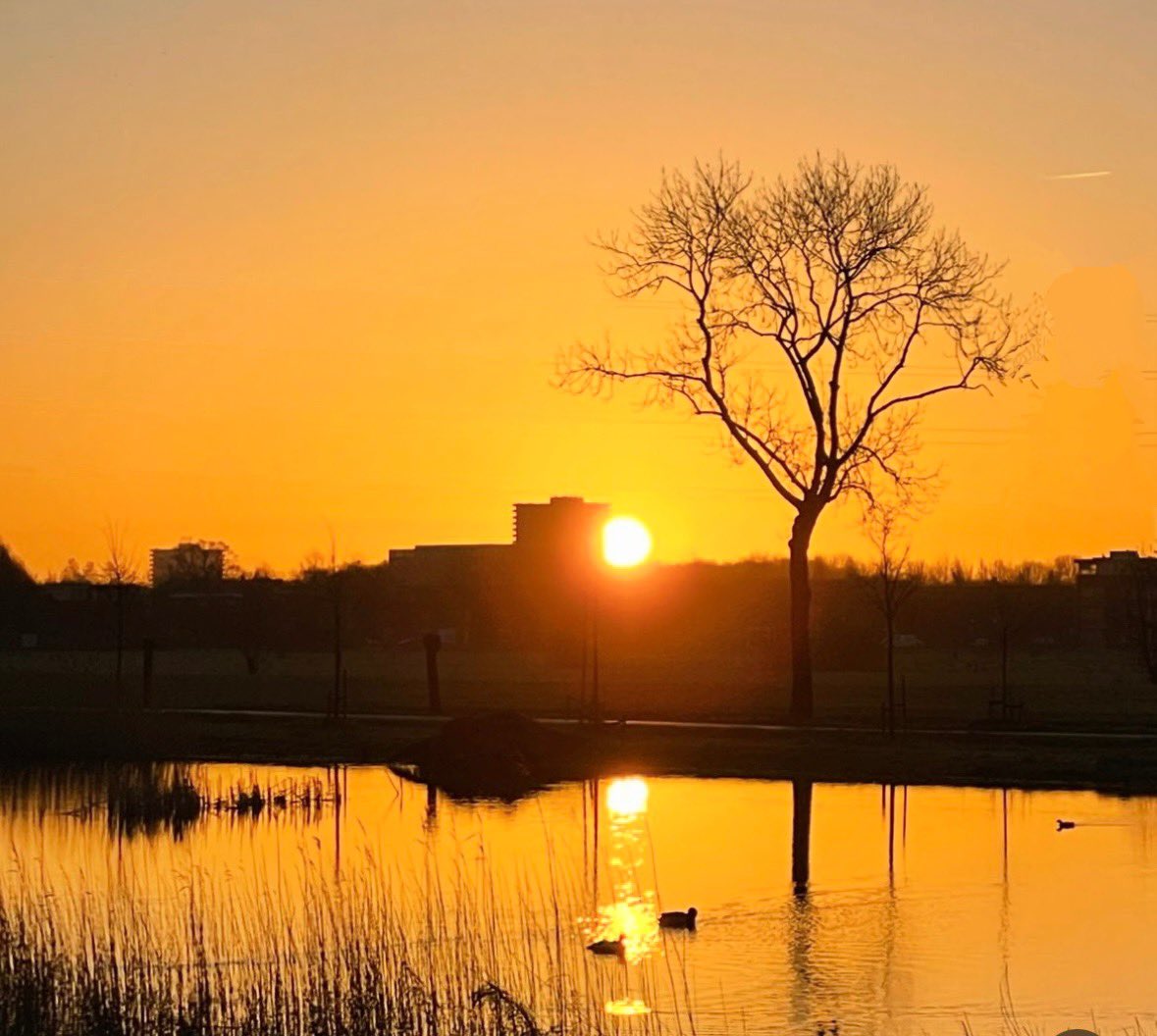 Fijne dinsdag ☀️