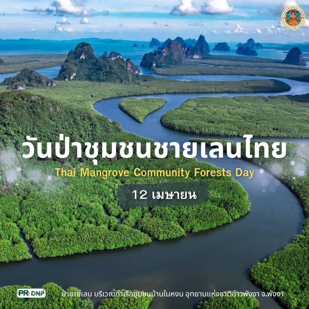 วันที่ 12 เมษายนของทุกปี มีการกำหนดให้เป็นวันป่าชุมชนชายเลนไทย เพื่อให้ชุมชนตระหนักถึงคุณค่าของผืนป่าชายเลน และช่วยกันอนุรักษ์ผืนป่าชายเลนของไทยให้คงอยู่สืบไป

#กรมอุทยานแห่งชาติ #วันป่าขุมชนชายเลนไทย #12เมษายน #วันป่าขุมชนชายเลนไทย2567 #ThaiMangroveCommunityForestsDay