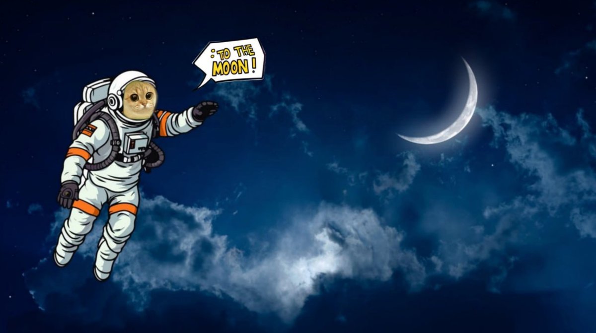 Catlik Buterin tweet media