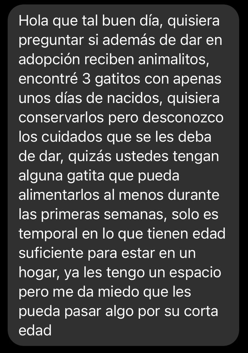 🆘🚨🚩 ¿alguien que pudiera tomar el caso y/o nos pueden ayudar con RT? @LaCrazyCatLady_ @Damaris95980325 @firulaisasalvo @Sanx08642 @polimniaromana @HELA_MORE @MorganaleFay_ @GarraAmor @AGatunos @michisenadop @oportunican @em_blanca @wasouski @Tiofelino @lausaysmeow @norelenita