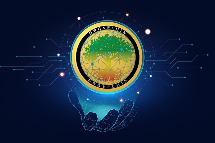 The Token Generator for #GRVChain is almost here. 
You can Create and Deploy Smart Contracts on #GroveBlockchain
No Coding is required, Anyone can do it. 
Are you Interested in building on GRVChain?   #BuildWithGrove #GroveCoin #GRV #GroveKeeper #GroveGreenArmy #GroveX