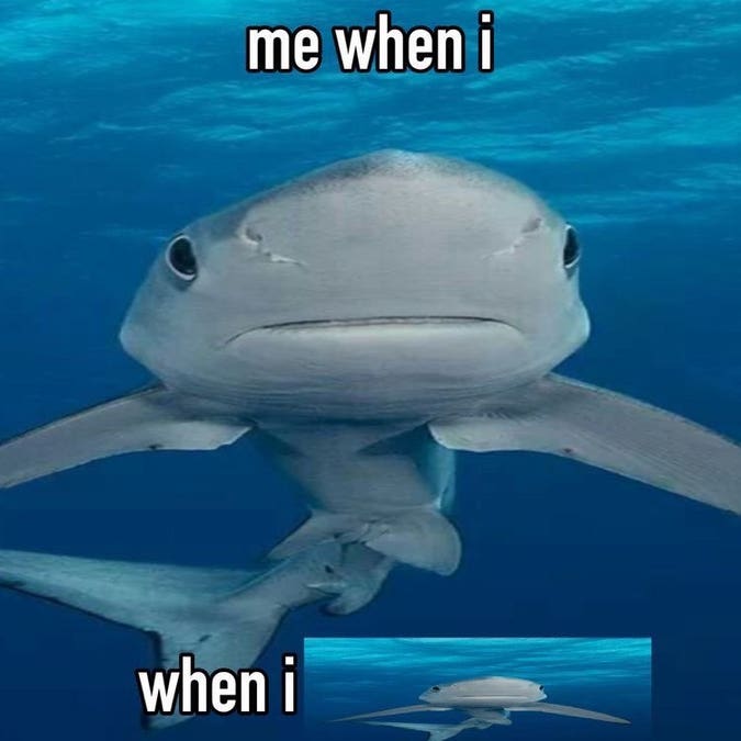 SharkiesOTD's tweet image. ♡ Did you know? 

~ Sharks