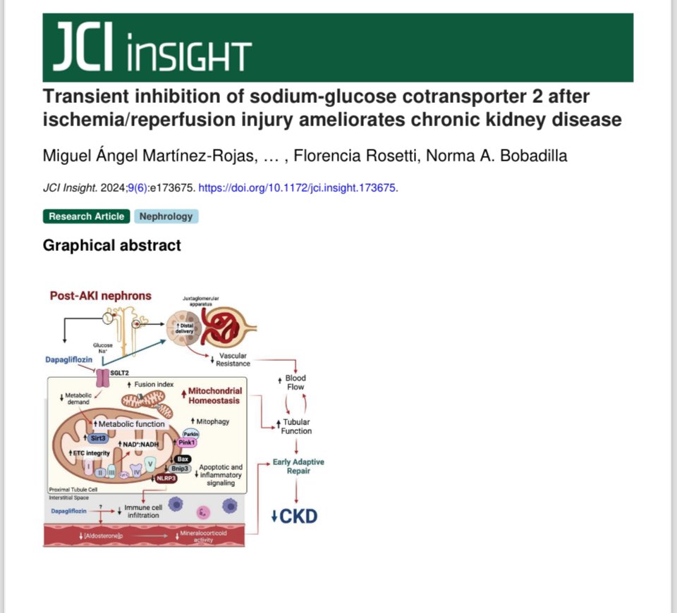 Me siento muy emocionada por la gran contribución que hemos hecho en JCI insight. Agradezco el gran trabajo de cada uno de los coautores y muy especialmente a de Mike, quien con su ahínco y perseverancia logró obtener resultados fascinantes. Fue un gran reto y valió la pena.