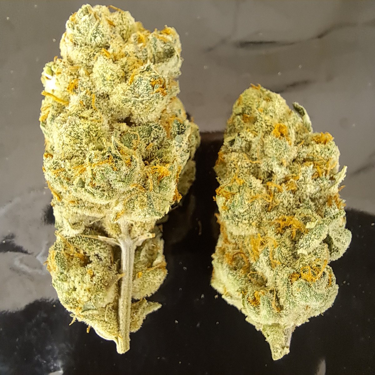 deepwoodsok's tweet photo. https://t.co/7NcgDJJtfu.  come get it! https://t.co/hJiO786ZoT