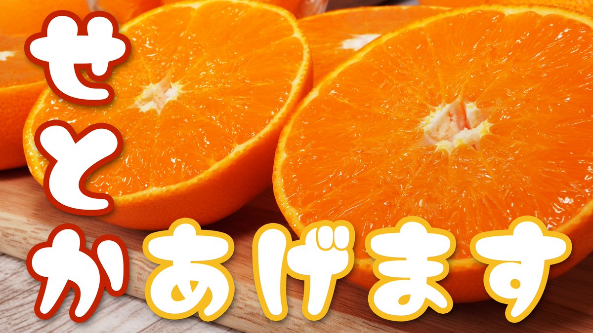 nomakajuen's tweet photo. 【24時間限定！】とろとろあまあまのせとか2kg、3/27 お昼12時までにフォロー&amp;リポストで2名様にあげます！せとかの何たるかはツリーの動画でねっちょり説明しています！( ³ᾥ³)ﾈﾁｮ https://t.co/WoAI0LzHwO