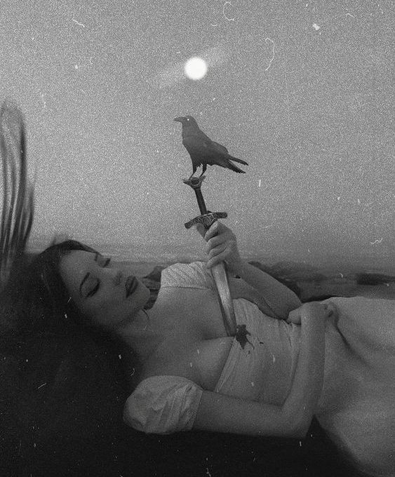 AShatteredRose's tweet image. 