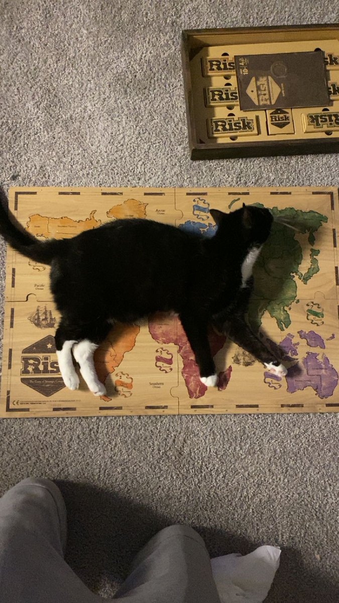4lukeb's tweet photo. Some say life imitates art, others say it’s all one big catspiracy #Geography https://t.co/xrljkqvb1U