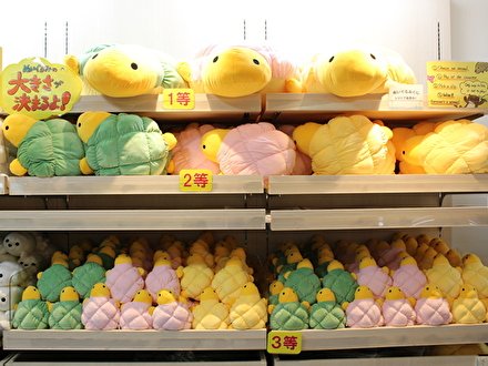 カメロンパン　ぬいぐるみくじ　2等　② 新江ノ島水族館 в X: „「カメロンパン」のぬいぐるみクジが
