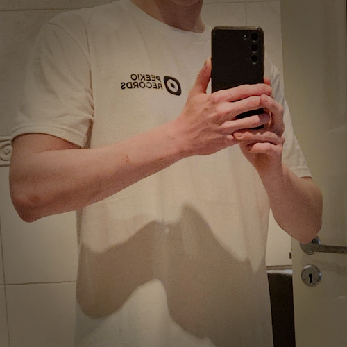 Pikalugia's tweet photo. We launched new merch on https://t.co/Hss5eiBkKS! 🛒 This is one of our latest pieces and gotta say, it's pretty fire! 🔥 @PeekioDev https://t.co/trwyHDDhvH