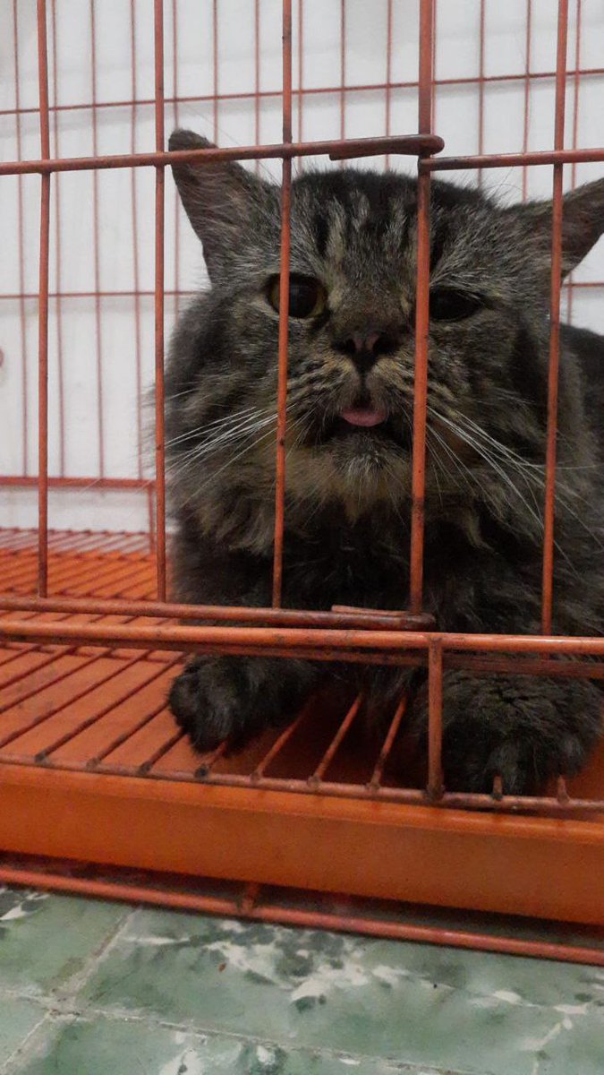 NO DM - KIRIM FESS CEK HIGHLIGHTS tweet media