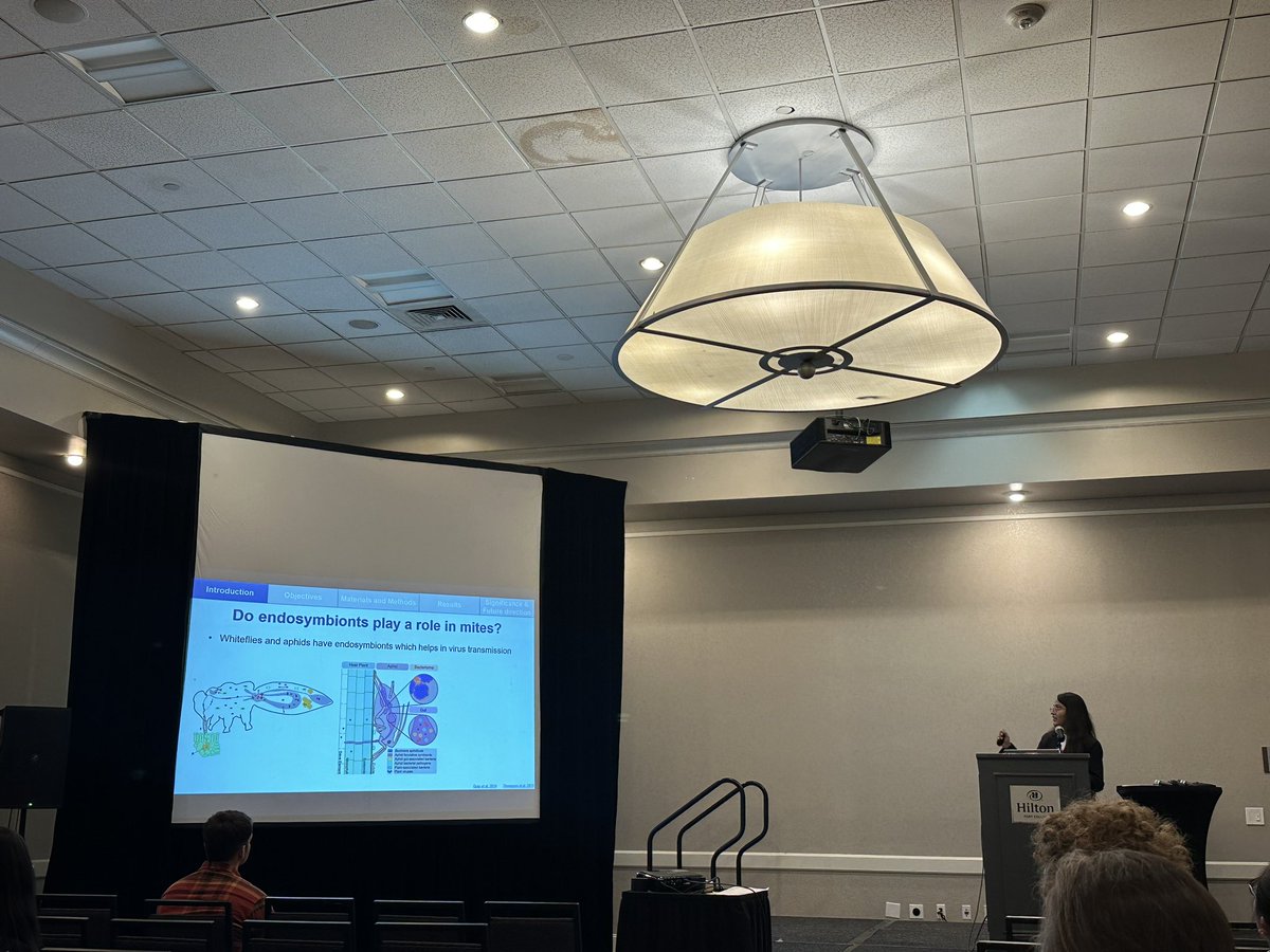 My students presented their research works in the North Central branch meeting of the Entomological Society of America. Nikhitha (PhD student) talked about microbiome in wheat curl mite. Sofiya (MS student) talked about High Plains virus in wheat host. Well done, both of you!