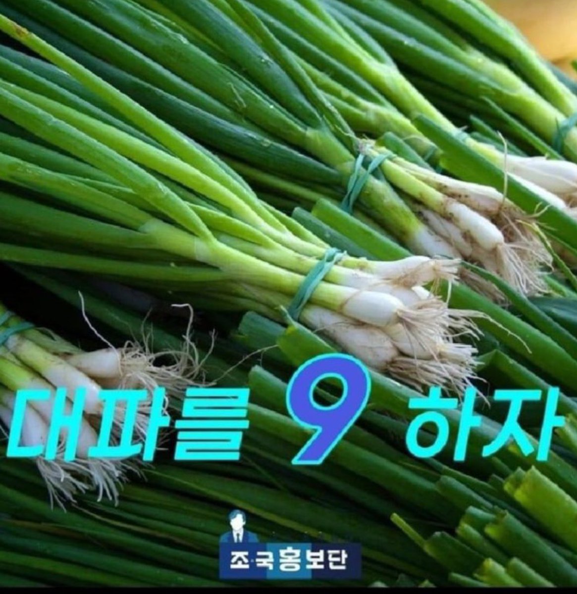 이번 대파전에선 기호 6번 새로운미래 신재용 후보가 조국'헉'신당을 대파했습니다.

ㅋㅋㅋ