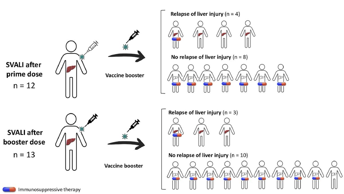 🔍 Key Points
47 cases studied post-vaccination.
Majority experienced non-severe hepatocellular injury.
28% relapsed post-booster, but all cases were mild.
Immunosuppression during booster linked to lower relapse risk.
Stay informed! Read more here! elsevier.es/en-revista-ann…