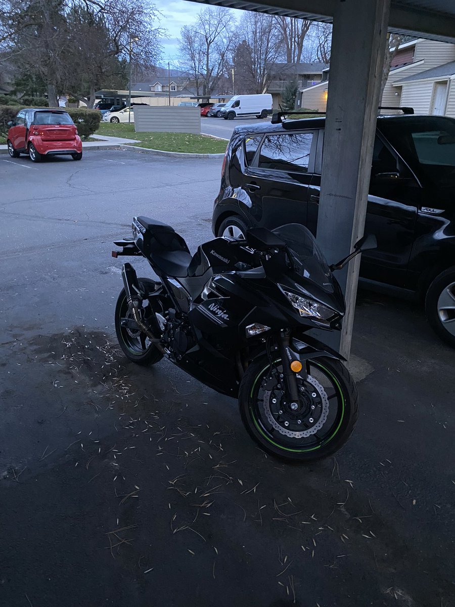 Psychito tweet media