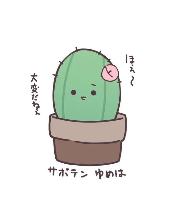 今日(26日)21時〜縦型雑談配信!!!
こいつは昨日話題になったサボテンゆめは!!!!

よろしくね!!!!!! 