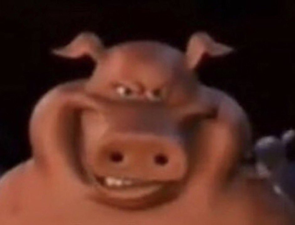𝝣 𝖂𝐀𝐘𝐖𝐀𝐑𝐃 𓏴 𝖂𝐀𝐑𝐑𝐈𖦹𝐑𓈒 tweet media