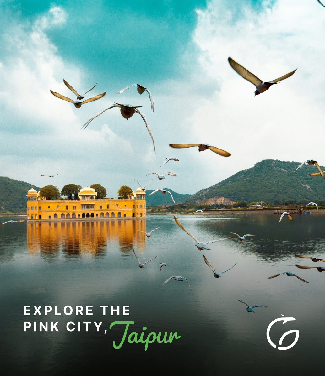 genz_tourism's tweet photo. Explore the Pink City, Jaipur India.
For more information, DM us or WhatsApp at 
+971 52 641 9221, or email us at sales@genztourism.com
#travel #sustainability #sustainableliving #sustainabletravel #travellife #traveling #genztourism #traveltheword #NaturalBeauty #nature https://t.co/HsihcvpGMd